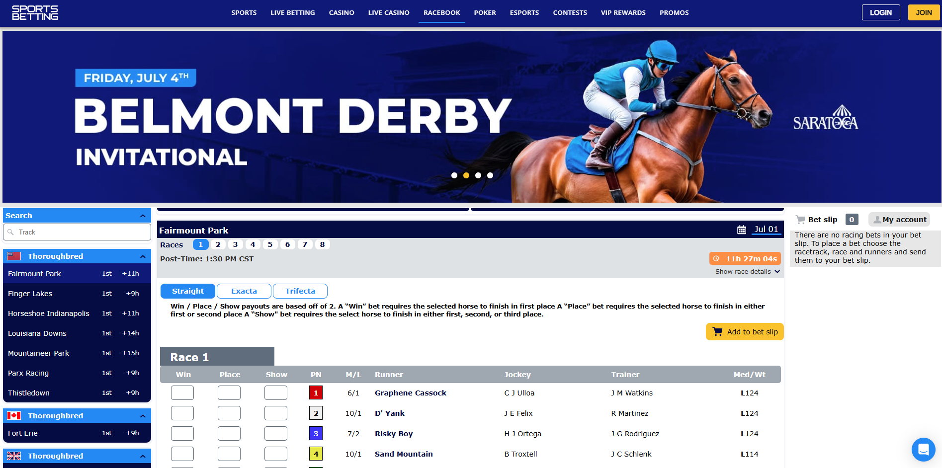Sportsbook and Betting Options